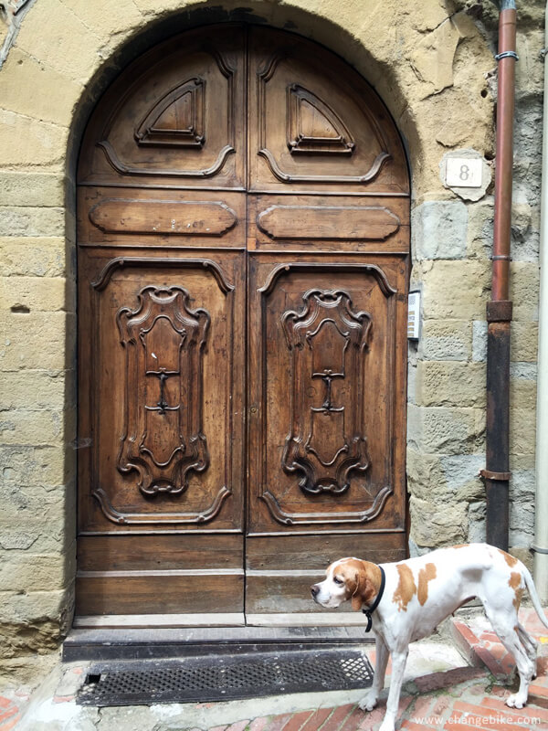 cycle touring changebike arezzo