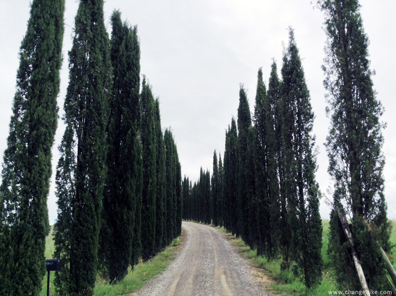 bike trip changebike montepulciano