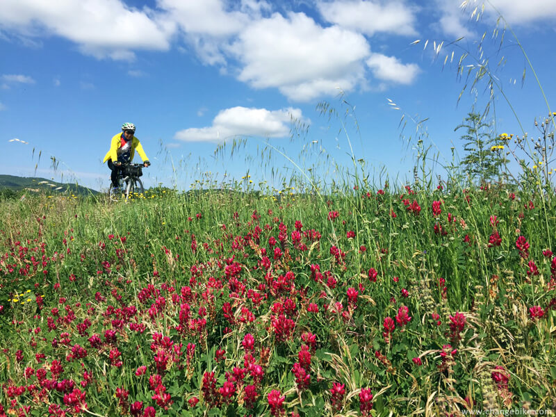 adventure cycling changebike tuscany