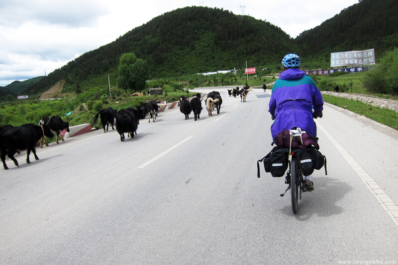 changebike travel bike yunnan Shangri-La