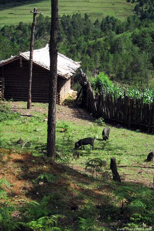 changebike yunnan bike tours yunnan Maoniuping