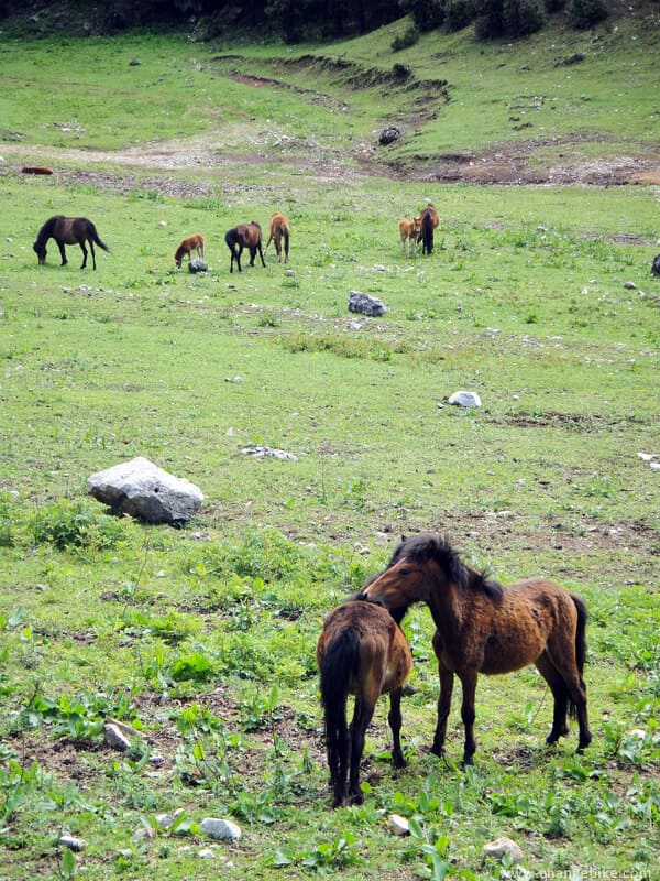 changebike bike tour yunnan ming yin