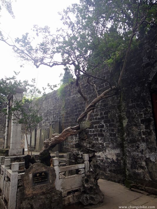 changebike adventure cycling yunnan kunming bronze hall