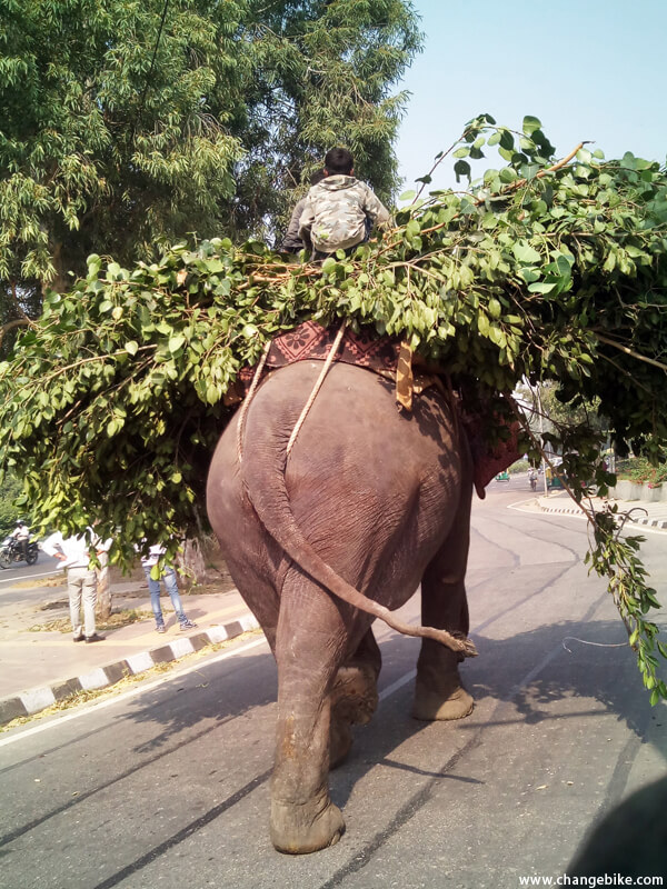 bike trip changebike akshardham india