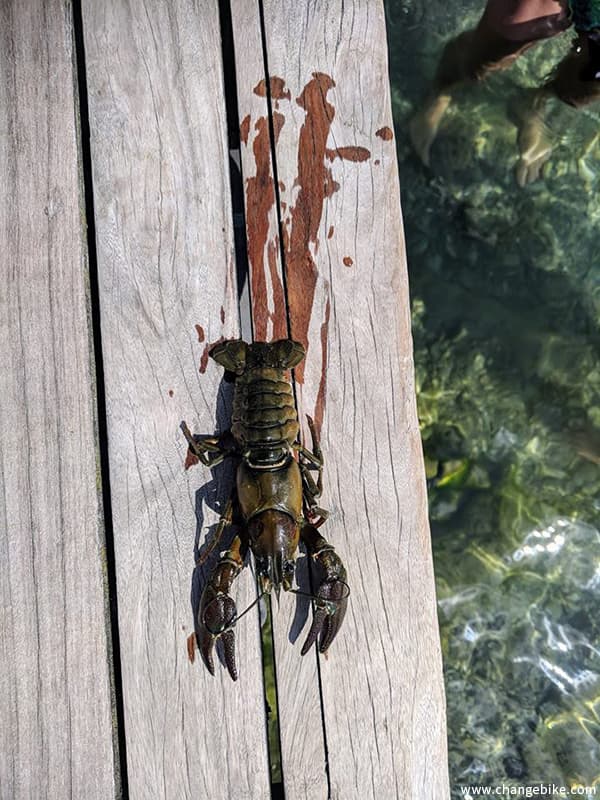 changebike bike tour in Europe