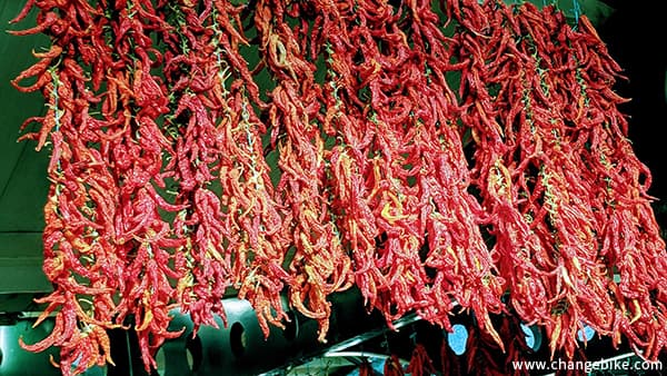 changebike bike tour in Europe