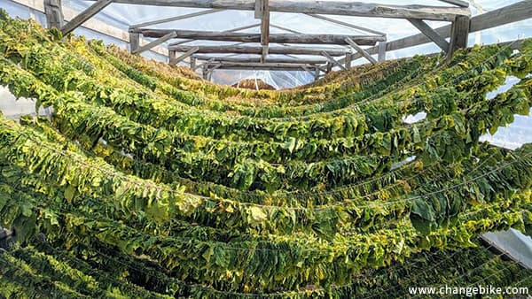 changebike bike tour in Europe