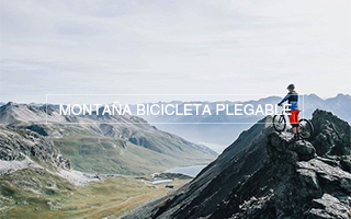 Bicicleta de montaña